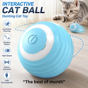 Interactive Cat Ball USB Rechargeable Fast Rolling Random Motion Hunting Cat Toy Automatic Indoor Play