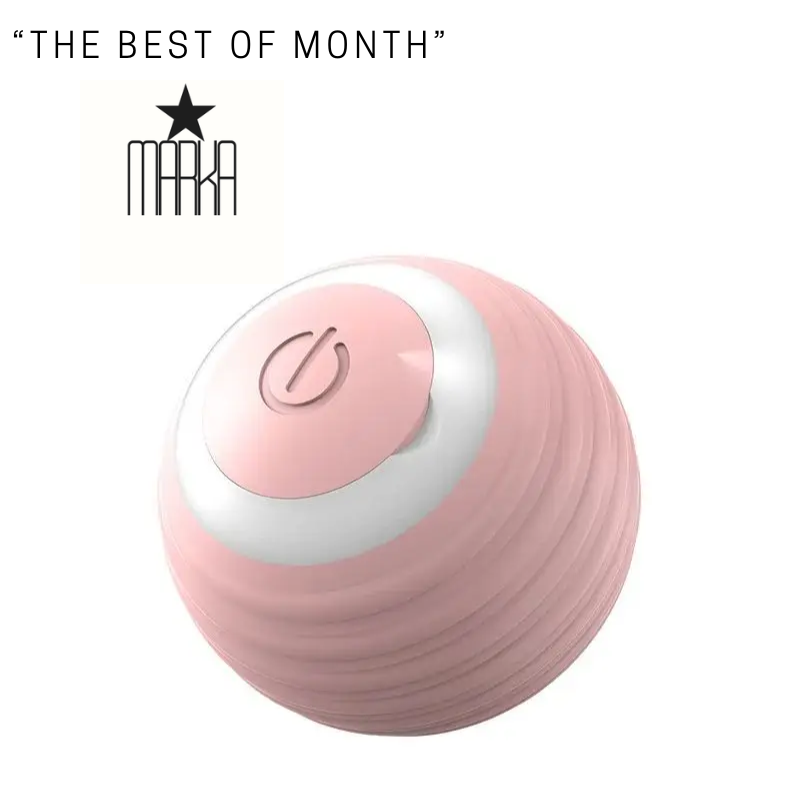 Interactive Cat Ball USB Rechargeable Fast Rolling Random Motion Hunting Cat Toy Automatic Indoor Play