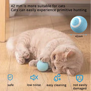 Interactive Cat Ball USB Rechargeable Fast Rolling Random Motion Hunting Cat Toy Automatic Indoor Play